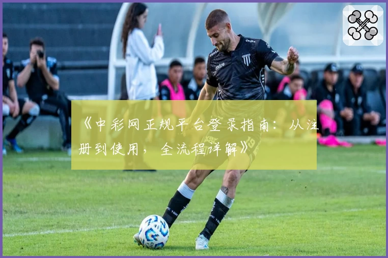 《中彩网正规平台登录指南：从注册到使用，全流程详解》