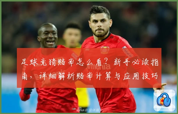 足球竞猜赔率怎么看？新手必读指南，详细解析赔率计算与应用技巧