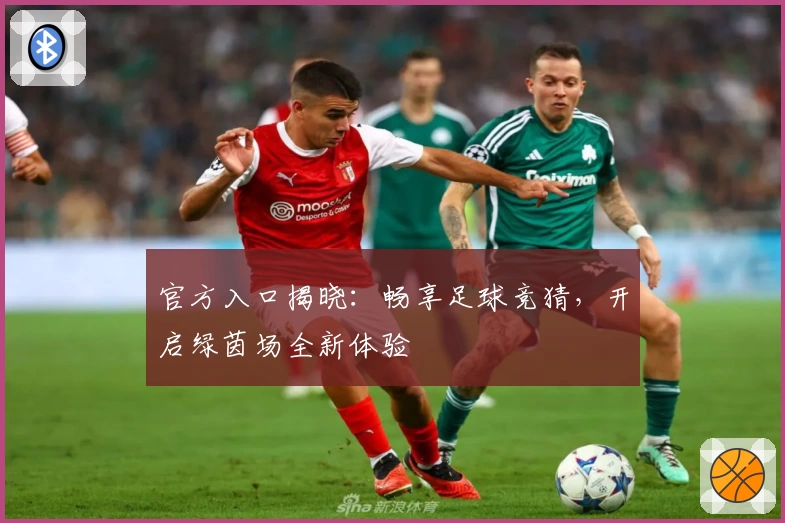 官方入口揭晓：畅享足球竞猜，开启绿茵场全新体验